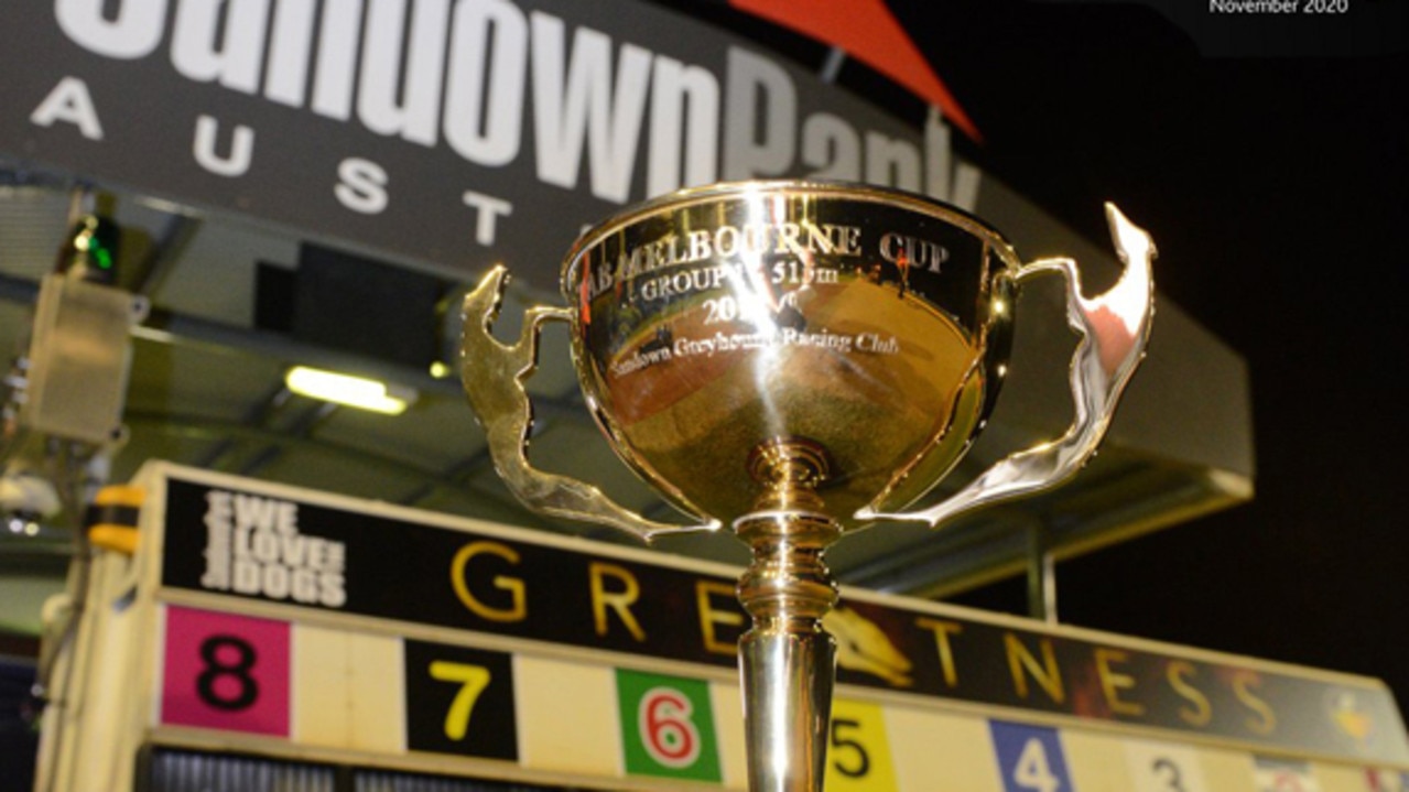 melbourne-cup-win-for-richmond-vale-greyhound-trainer-jason-mackay