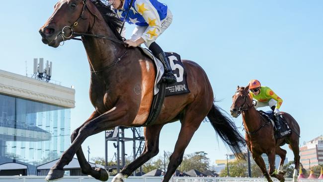 Kaleo showed he was a youngster to follow with his emphatic win at Caulfield on Saturday. Picture: Racing Photos via Getty Images.