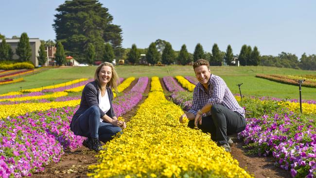Rachael and Paul Tesselaar in Tesselaar Flower Fields at Silvan, are hosting Kabloom Festival in April. Pictures: Dannika Bonser