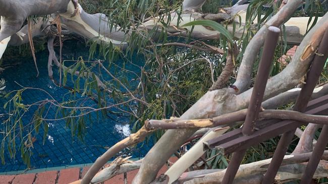 A 20m fall gumtree has put the Leeds’ family pool out of business for summer.