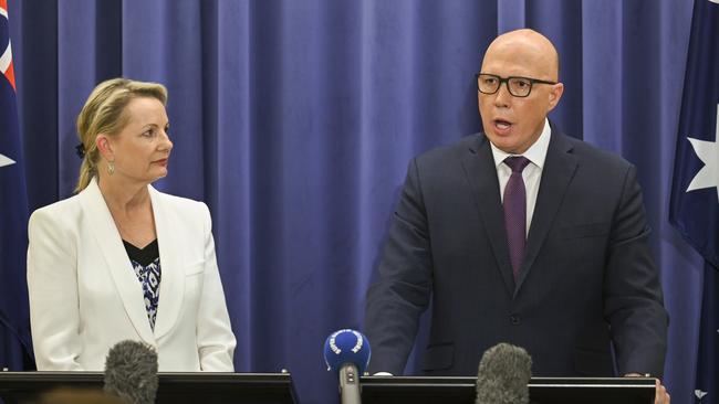 Peter Dutton and Sussan Ley. Picture: NCA NewsWire / Martin Ollman