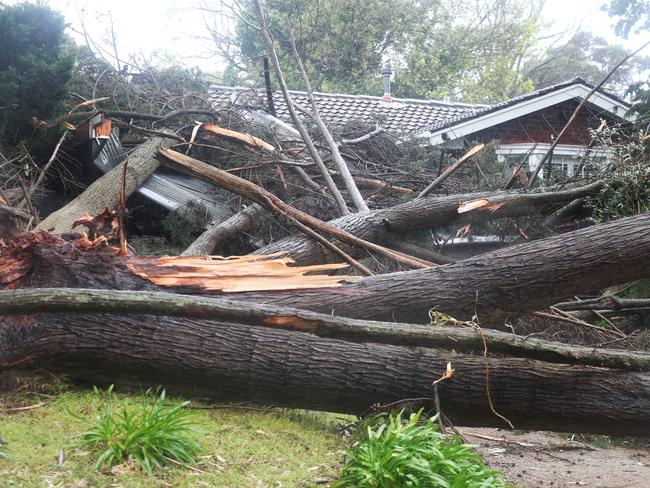 A falling tree took out a garage and narrowly missed a home in Wimbledon Ave in Mount Eliza. Picture: NCA NewsWire