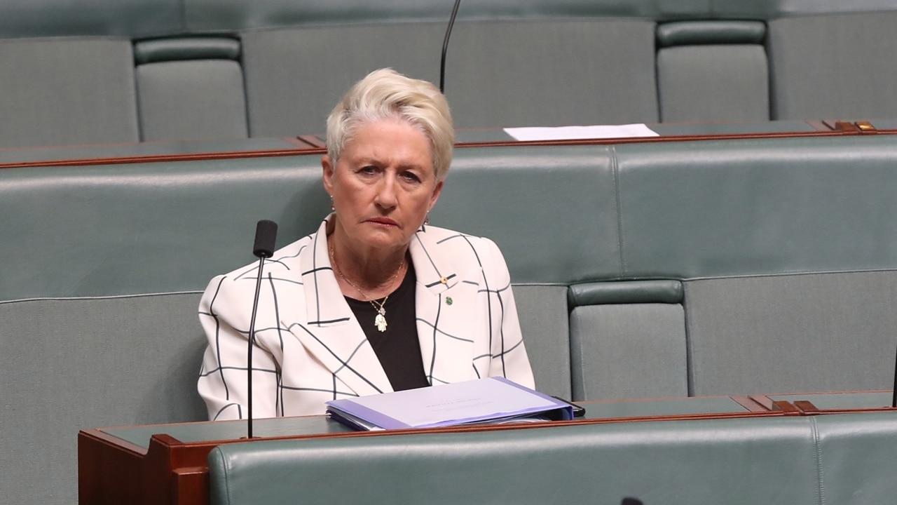 PM self-isolating would be ‘an important test of leadership’: Kerryn Phelps