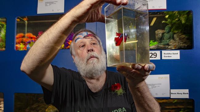 Peter Ford has been entering the fish competition at the Brisbane Ekka for about 20 years. Picture: Sarah Marshall