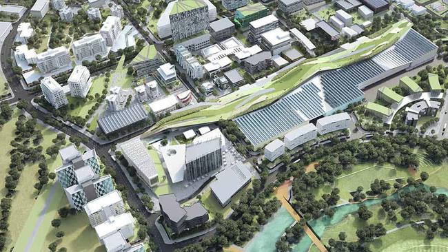 An artist impression of Ripley's future. Picture: Ipswich City Council