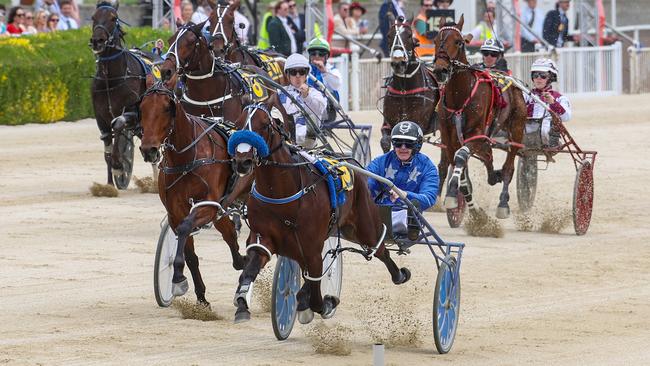 Mark Purdon's Dont Stop Dreaming is being aimed at the Hunter Cup. Picture: HRNZ