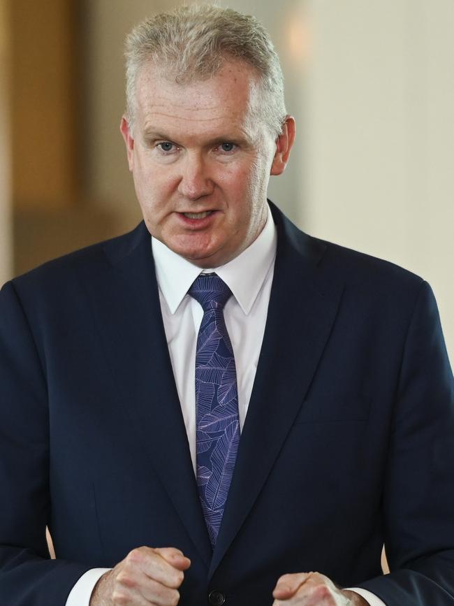 Arts Minister Tony Burke. Picture: NCA NewsWire / Martin Ollman