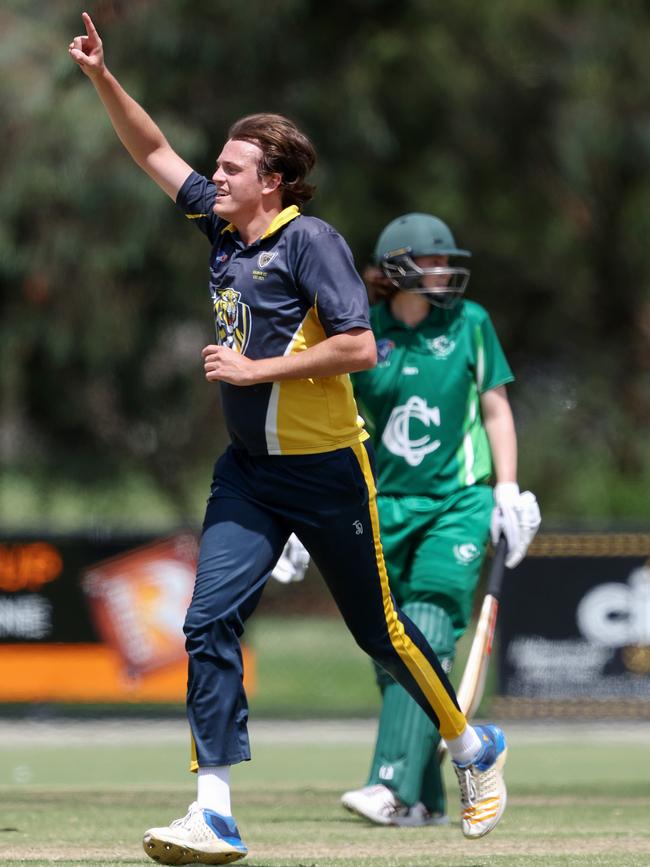 VSDCA: Harry Dixon celebrates a wicket for Balwyn. Picture: Georg Sal