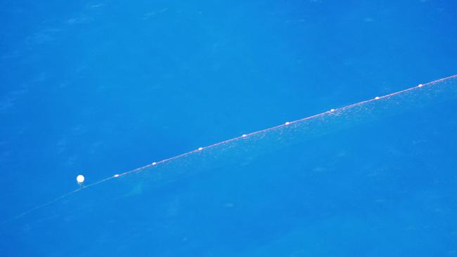 A shark net off Tugun on the Gold Coast, which hasn’t seen a fatal attack in 60 years. Picture: Brendan Radke