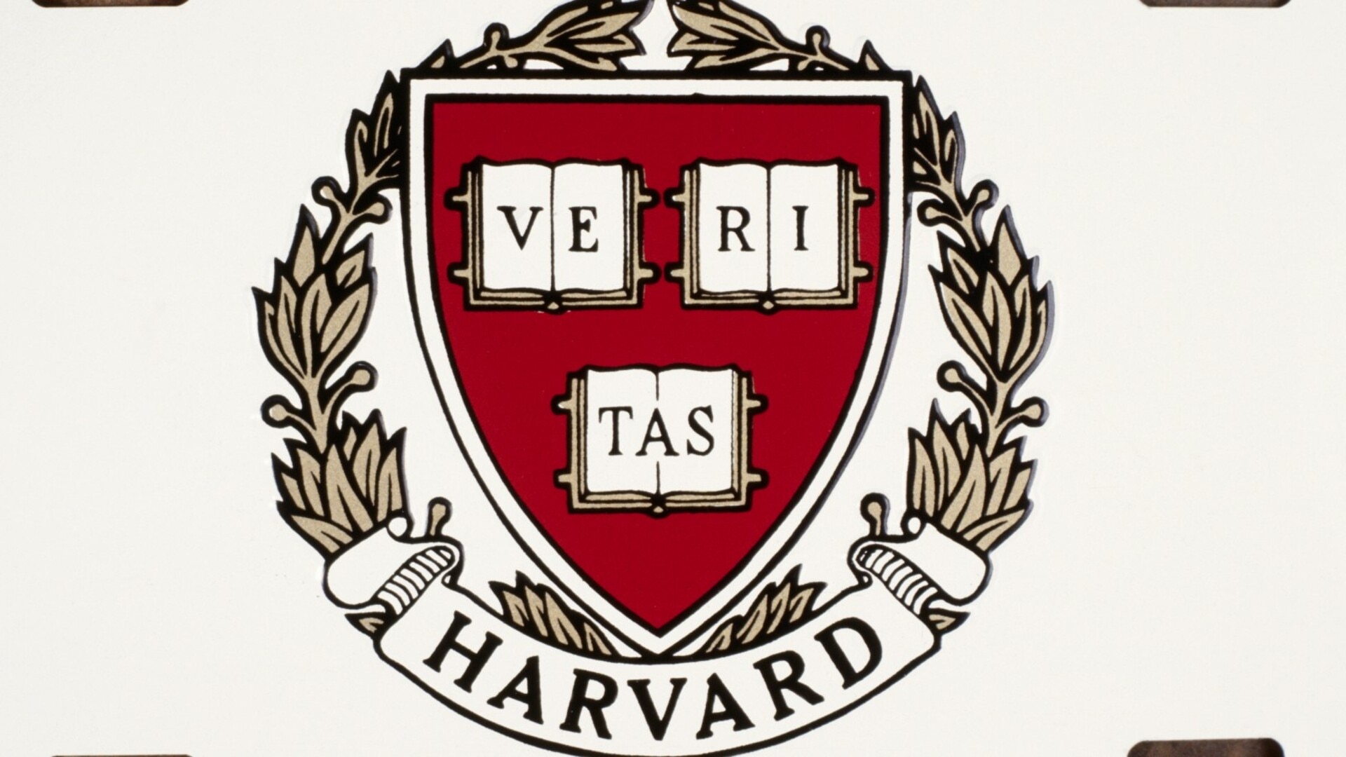 Harvard in ‘a world of pain’ amid clash with Donald Trump