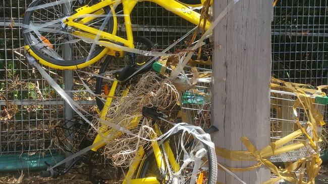 Share bikes on Instagram. These ones in Sydney were taped to a power pole.