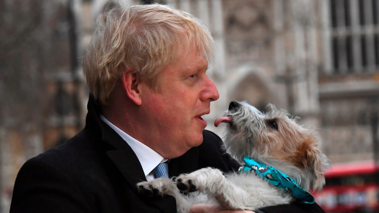 Boris Johnson authorised Afghanistan animal rescue | Sky News Australia