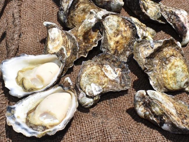 Indefinite closure? What oyster shutdown means for Christmas