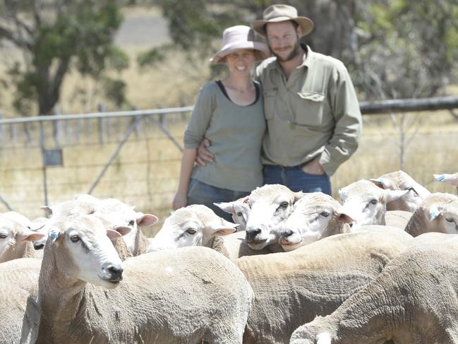 Stuart and Anja Croft run a 1600ha farm with Corriedale sheep in the south-west of Victoria at Durmborg and have been taking part in an MLA Profitable Grazing System program. Weaner Rams