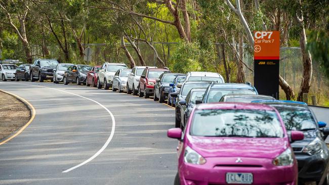 People queue in cars waiting to be tested at the LaTrobe University testing site. Picture: Jake Nowakowski