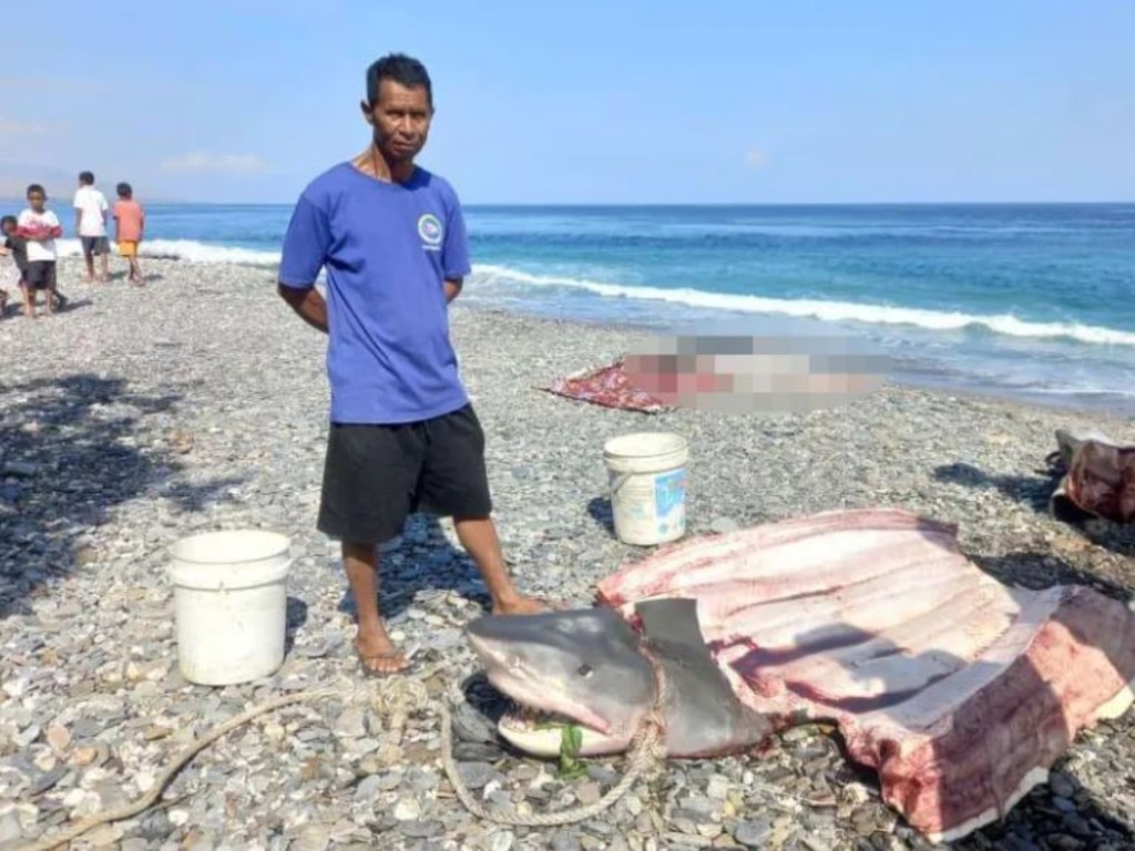 The woman's body was found by a fisherman inside a shark. Credit: Asia Pacific Press via ViralPres