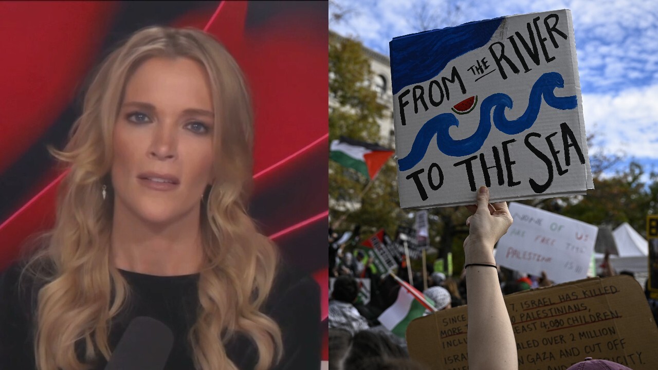 Megyn Kelly fires up over ‘anti-Semites’ displaying their ‘Jew-hatred’ at pro-Palestine rallies