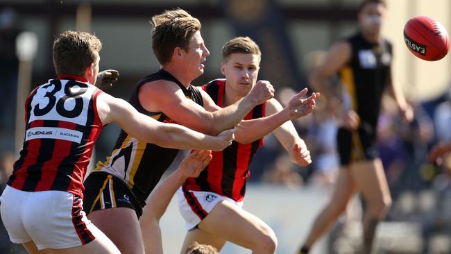 Charlie Haley is one coach Rodney Eade expects to have a strong year. Picture: Stuart Milligan