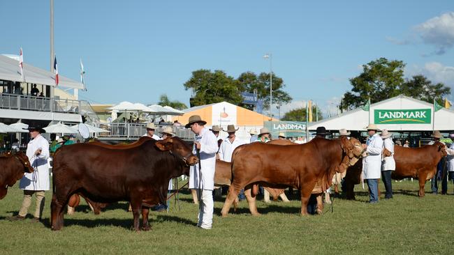 Beef Australia 2021 is the industry’s premier event for competition and displays.