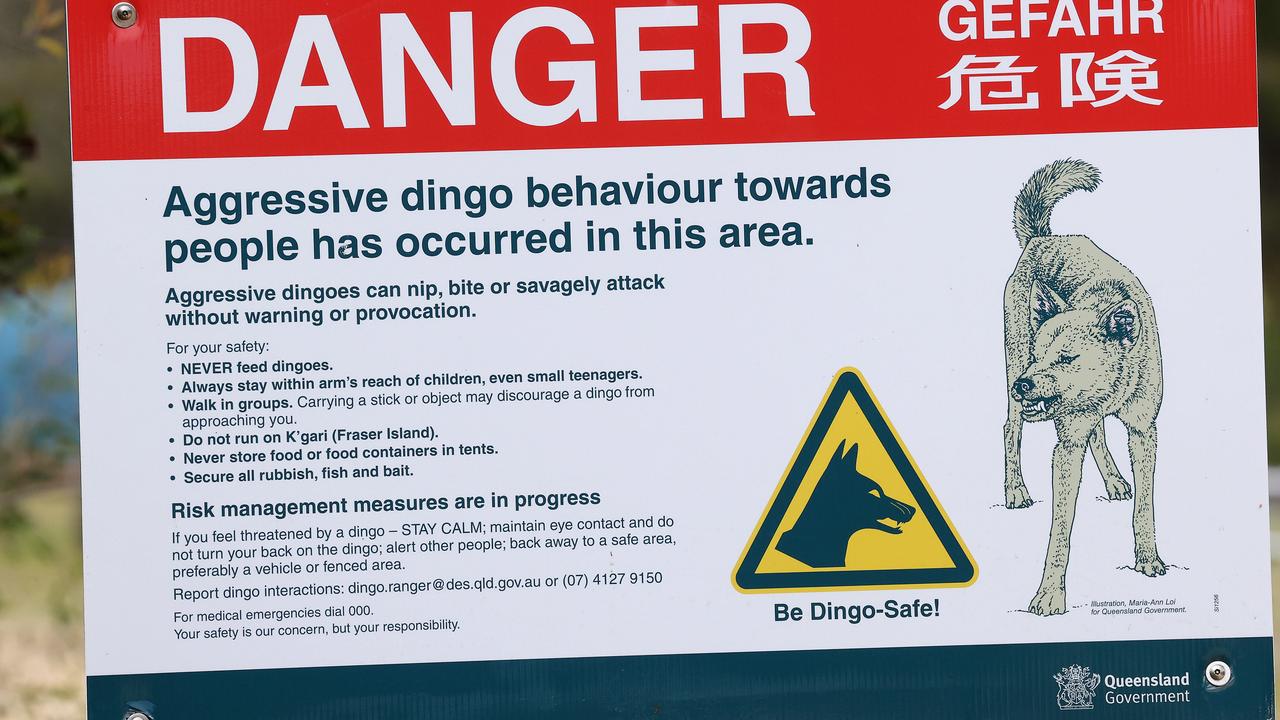 A dingo warning sign at Waddy Point. Picture: Liam Kidston