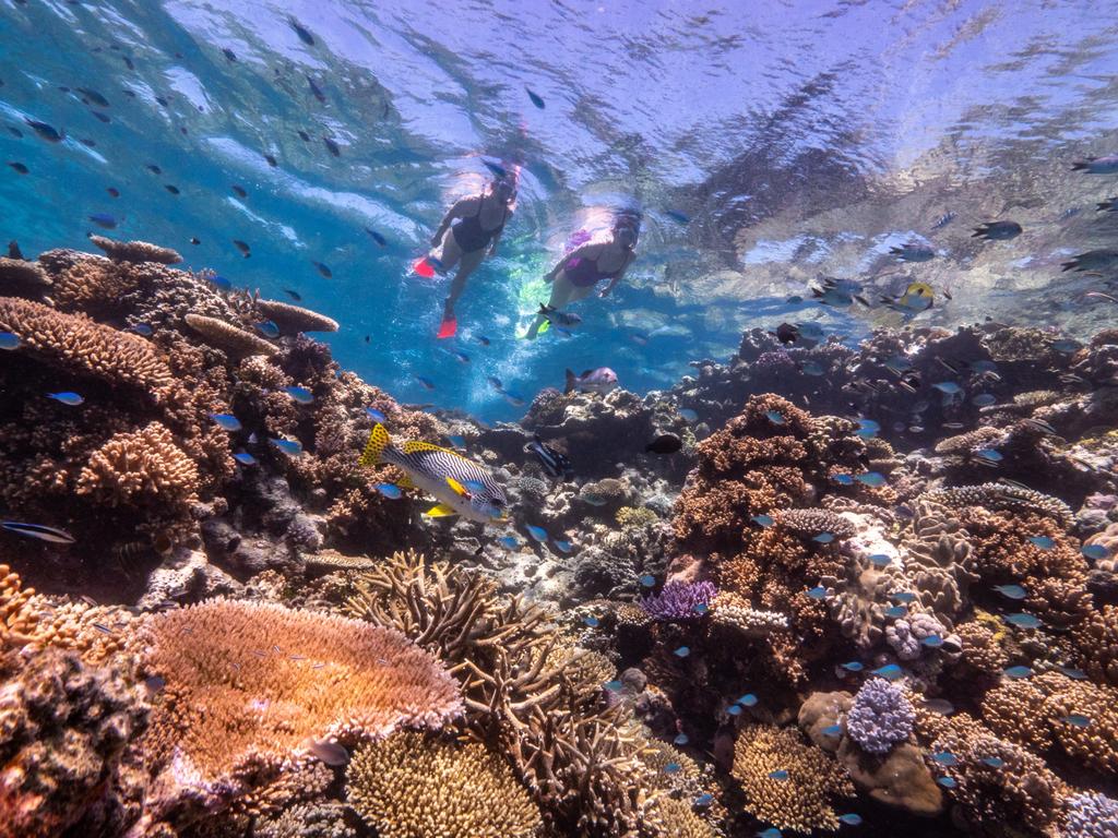 Take a day to explore the iconic Great Barrier Reef.