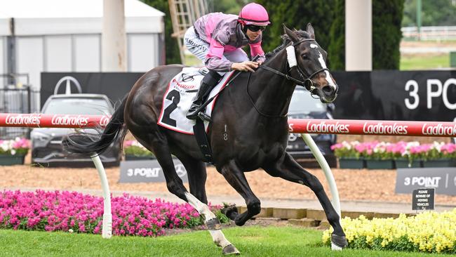 Wishlor Lass will shoot for her fourth straight win when she tackles Saturday’s Group 1 Empire Rose Stakes. Picture: Racing Photos via Getty Images.