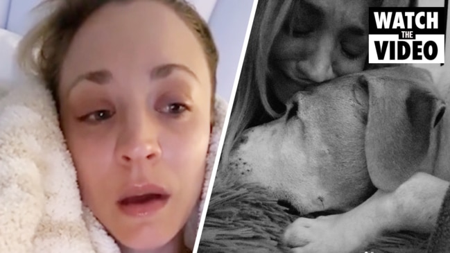 Kaley Cuoco in tears after death of her dog