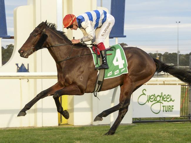 Pure Hydrogen can make it back-to-back wins when he heads to Gosford on Thursday. Picture: Grant Guy