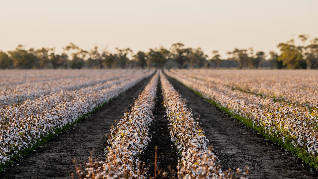 Northern NSW cotton farm sold to local family for almost $20m