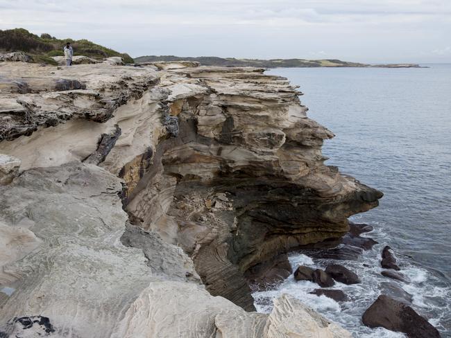 He slipped and fell off the cliff at Cape Solander. Picture: Damian Shaw