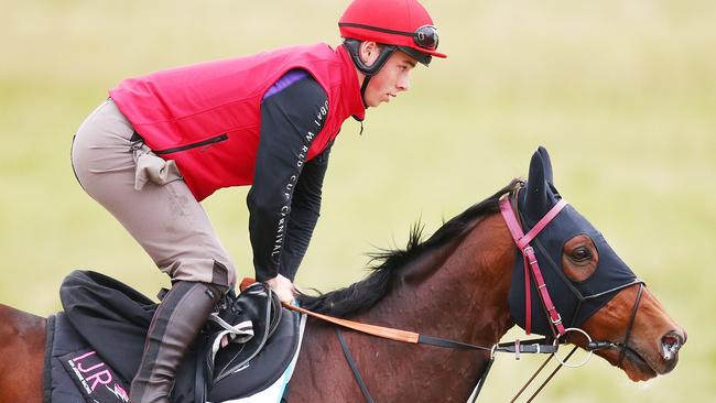 Nakeeta gallops during a Werribee trackwork session. Picture: Michael Dodge