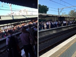 train chaos on sydney trains