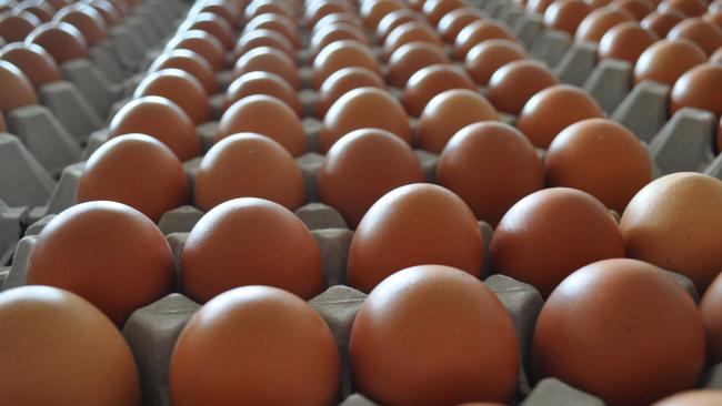 Egg prices at Aldi, Coles and Woolworths have dropped in recent weeks.