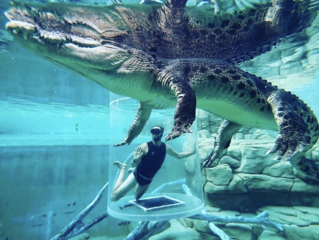 Cage of Death experience at Darwin's Crocosaurus Cove in the Northern Territory. Picture: Crocosaurus Cove Instagram