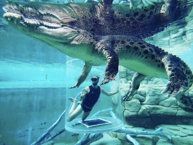 Cage of Death experience at Darwin's Crocosaurus Cove in the Northern Territory. Picture: Crocosaurus Cove Instagram