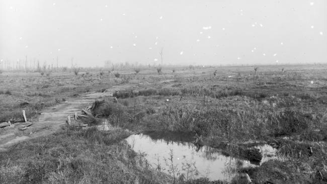 The Battle of Fromelles: No man’s land France, looking towards the line from which the 15th Australian Infantry Brigade began their attack.