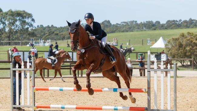 Kathy O’Hara puts Nature Strip through his paces in the New Star Thoroughbred Showjumping Class of the Equimillion. Picture: Max Mason-Hubers