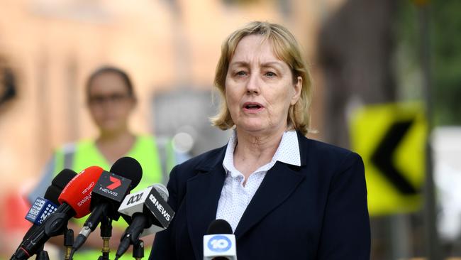 In June, a vote of no confidence was made against Sydney Local Health District chief executive Dr Teresa Anderson. Picture: NCA NewsWire/Bianca De Marchi