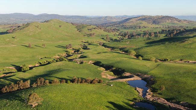 Yambla Station, at 1336ha, has an estimated carrying capacity of 16,000 dry sheep equivalent.