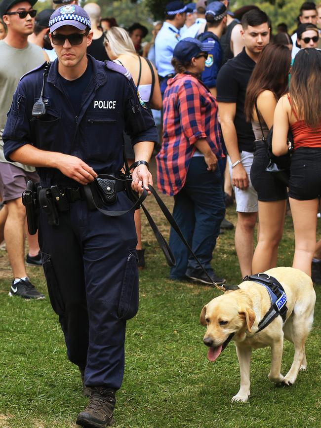 Despite the presence of police and sniffer dogs at festivals, drugs often find their way in. Picture: Toby Zerna