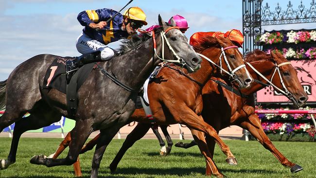 MELBOURNE, AUSTRALIA - FEBRUARY 20: Chautauqua ridden by Dwayne Dunn wins race 7 the Black Caviar Lightning on Black Caviar Lightning Day at Flemington Racecourse on February 20, 2016 in Melbourne, Australia. (Photo by Scott Barbour/Getty Images for VRC)