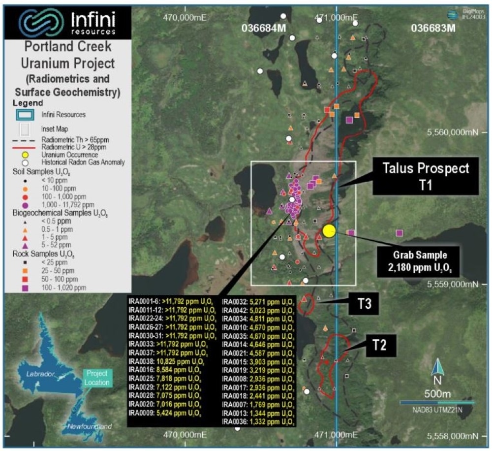 Infini’s super high-grade U3O8 samples at Portland Creek. Pic: I88