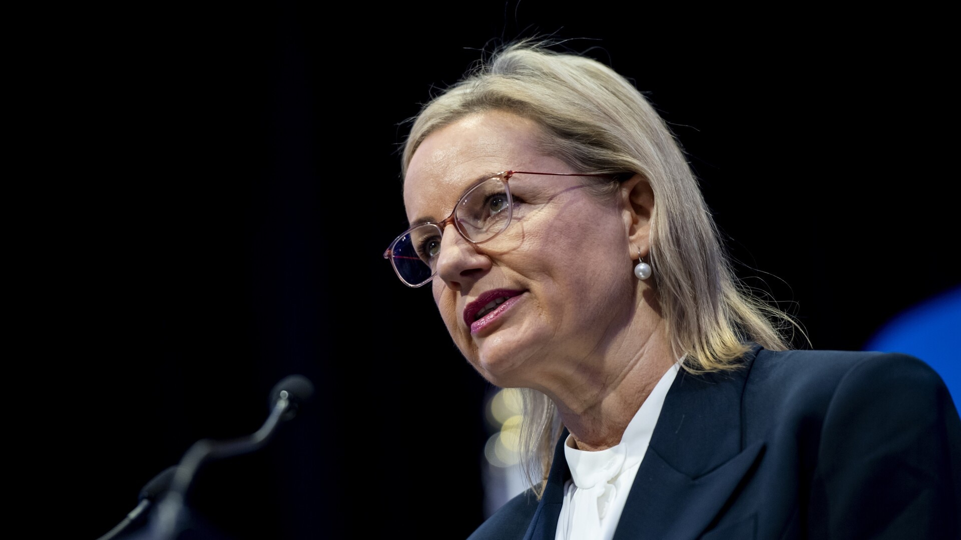 Sussan Ley seen as ‘sensible choice’ to lead Liberal Party