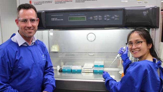 SA Water senior manager of water expertise and research, Dr Daniel Hoefel, with SA Water scientist in environmental microbiology, Melody Lau, doing wastewater testing. Picture: Supplied