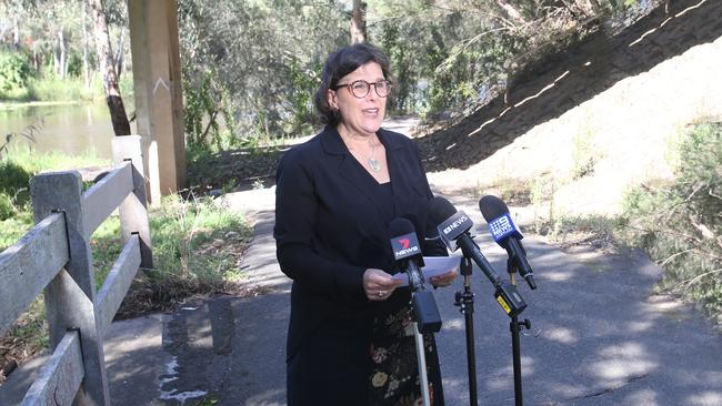 deputy chief medical officer Deb Friedman was at Queens Park Bridge in Geelong on Wednesday to talk about the outbreak of Japanese encephalitis. Picture: Alan Barber