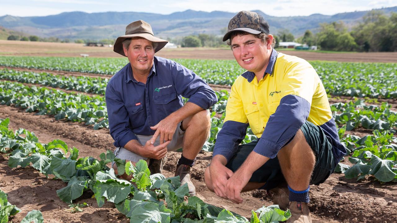 GROWING PAINS: With the Palaszczuk government rolling out their new plans to get the ag sector growing again, two Lockyer Valley locals weigh in on what they think the industry needs. Lockyer Valley producers Brian Crust and his son Matthew among a crop at their Mount Sylvia Farm. Picture: File