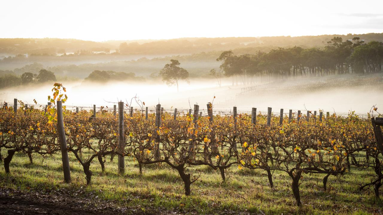 This year’s record low yields of wine are due to bad weather in many of the world’s biggest producers, including Australia.