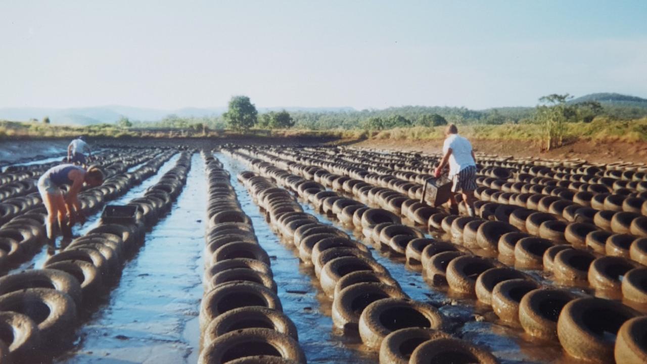 The Beenleigh Crayfish Farm in the mid-90s. Picture: Supplied