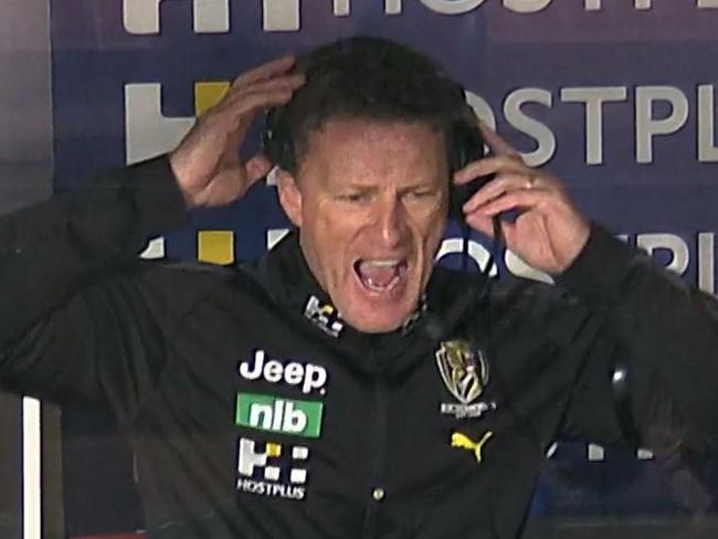 Richmond Tigers coach Damien Hardwick.