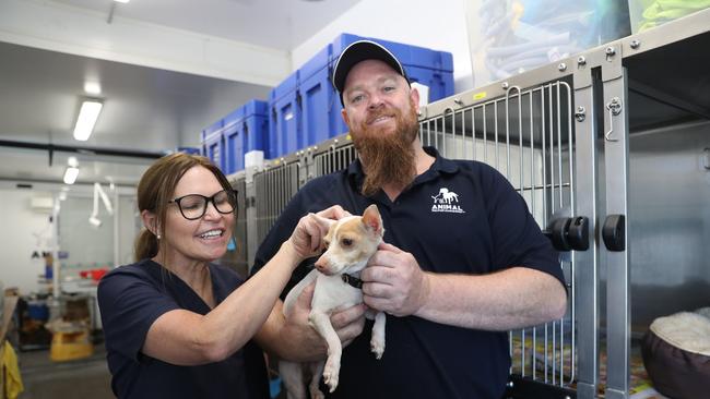 The Animal Welfare league NSW has set up an animal rescue centre in Moree. Picture: John Grainger